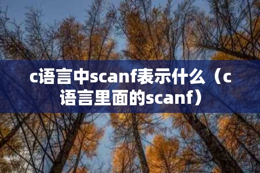 c语言中scanf表示什么（c语言里面的scanf）