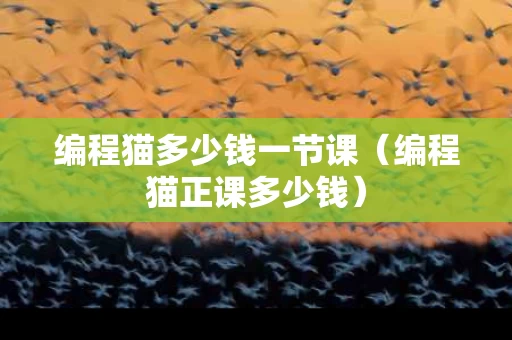 编程猫多少钱一节课（编程猫正课多少钱）