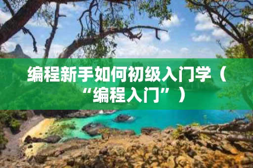 编程新手如何初级入门学（“编程入门”）
