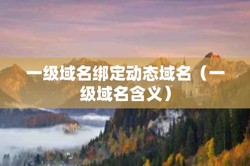 一级域名绑定动态域名（一级域名含义）