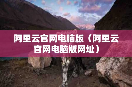 阿里云官网电脑版（阿里云官网电脑版网址）