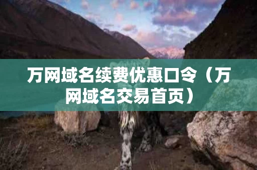 万网域名续费优惠口令（万网域名交易首页）