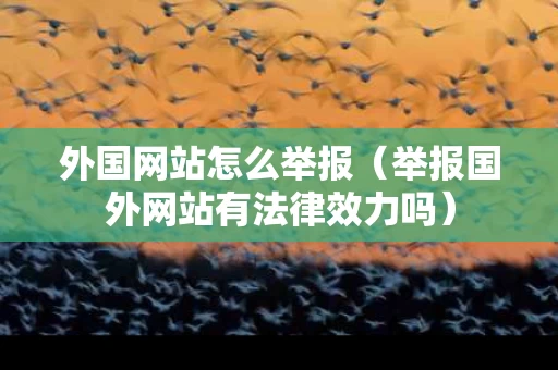 外国网站怎么举报（举报国外网站有法律效力吗）
