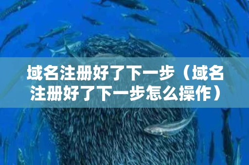 域名注册好了下一步（域名注册好了下一步怎么操作）