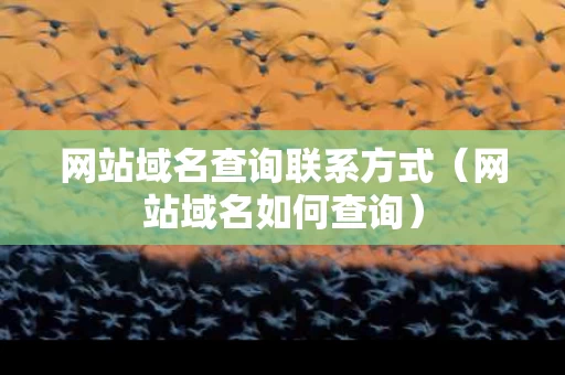 网站域名查询联系方式（网站域名如何查询）