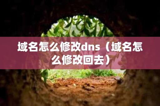 域名怎么修改dns（域名怎么修改回去）