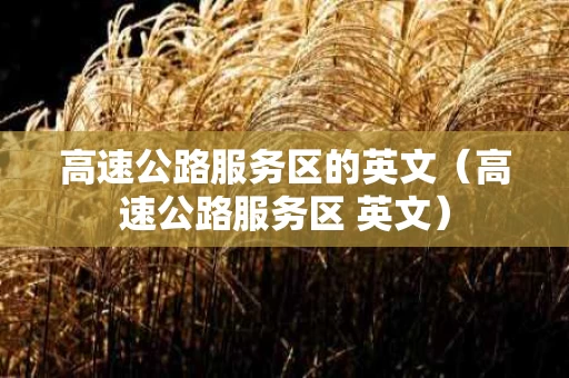 高速公路服务区的英文（高速公路服务区 英文）