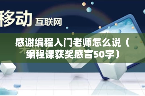 感谢编程入门老师怎么说（编程课获奖感言50字）