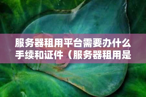 服务器租用平台需要办什么手续和证件（服务器租用是干嘛的）
