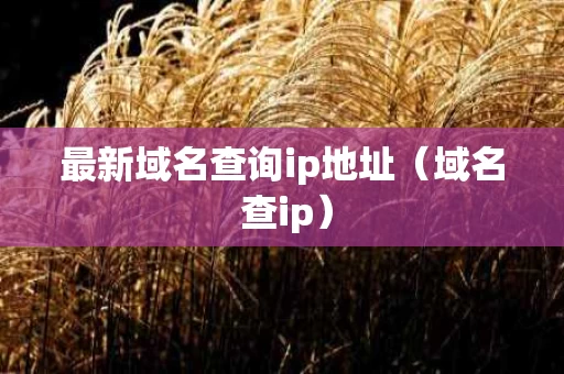 最新域名查询ip地址（域名 查ip）