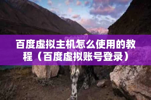 百度虚拟主机怎么使用的教程（百度虚拟账号登录）