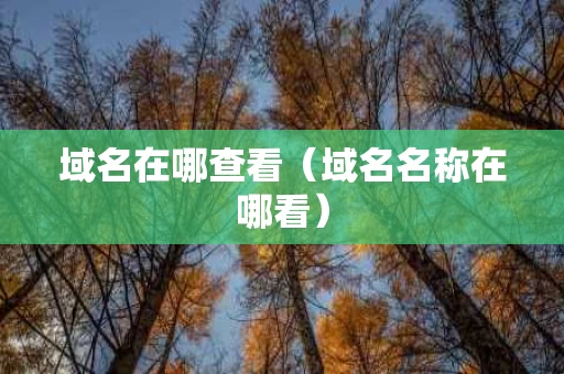 域名在哪查看（域名名称在哪看）