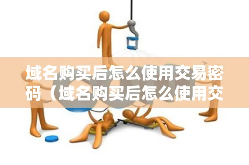 域名购买后怎么使用交易密码（域名购买后怎么使用交易密码登录）