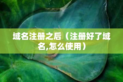 域名注册之后（注册好了域名,怎么使用）