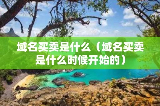 域名买卖是什么（域名买卖是什么时候开始的）