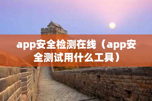 app安全检测在线（app安全测试用什么工具）
