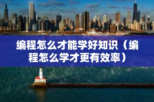 编程怎么才能学好知识（编程怎么学才更有效率）