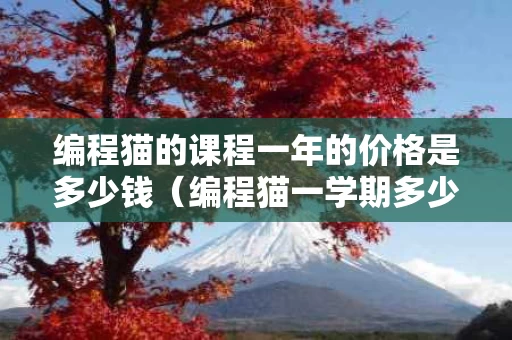 编程猫的课程一年的价格是多少钱（编程猫一学期多少钱）
