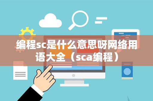 编程sc是什么意思呀网络用语大全（sca编程）