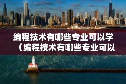 编程技术有哪些专业可以学（编程技术有哪些专业可以学的）
