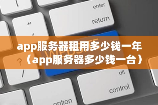 app服务器租用多少钱一年（app服务器多少钱一台）