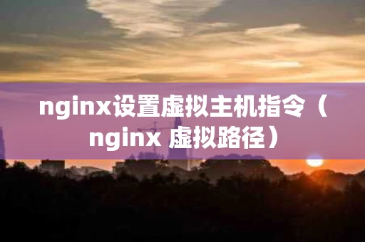 nginx设置虚拟主机指令（nginx 虚拟路径）