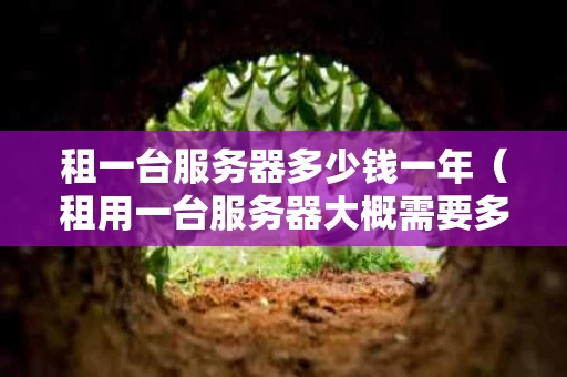 租一台服务器多少钱一年（租用一台服务器大概需要多少钱）
