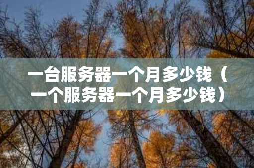 一台服务器一个月多少钱（一个服务器一个月多少钱）
