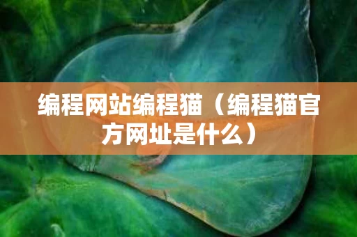 编程网站编程猫（编程猫官方网址是什么）
