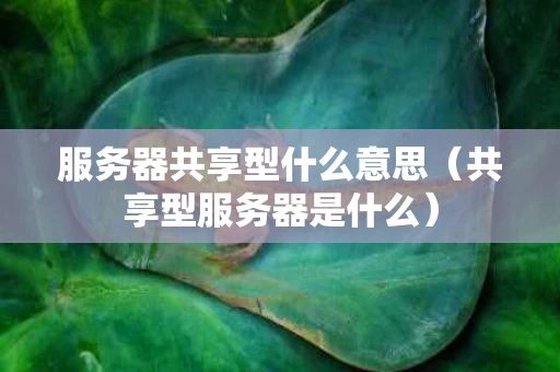 服务器共享型什么意思（共享型服务器是什么）