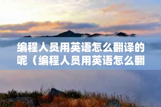 编程人员用英语怎么翻译的呢（编程人员用英语怎么翻译的呢怎么写）