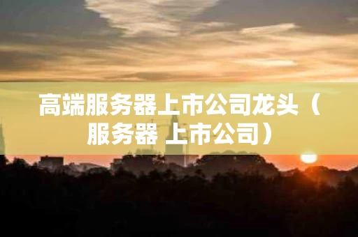 高端服务器上市公司龙头（服务器 上市公司）