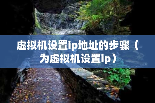 虚拟机设置ip地址的步骤（为虚拟机设置ip）