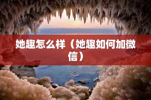她趣怎么样（她趣如何加微信）