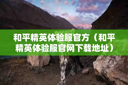 和平精英体验服官方（和平精英体验服官网下载地址）