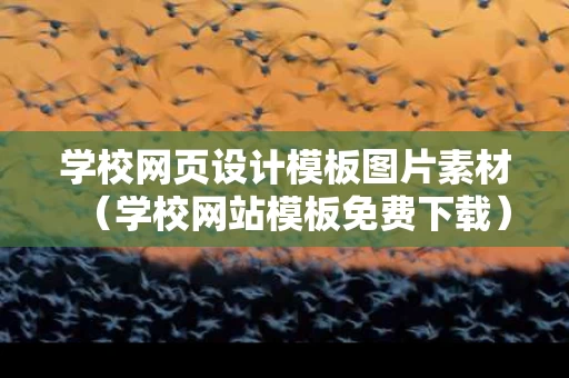 学校网页设计模板图片素材（学校网站模板免费下载）