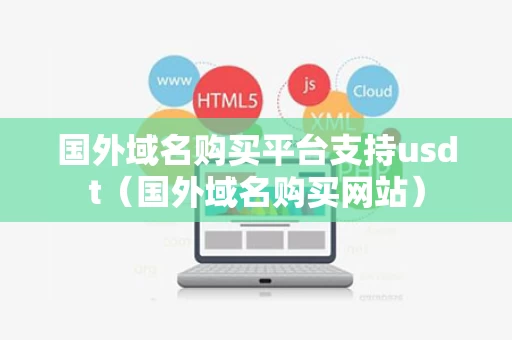 国外域名购买平台支持usdt（国外域名购买网站）