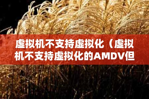 虚拟机不支持虚拟化（虚拟机不支持虚拟化的AMDV但处于禁用状态）