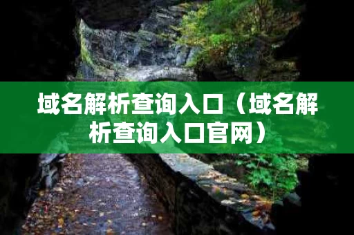 域名解析查询入口（域名解析查询入口官网）