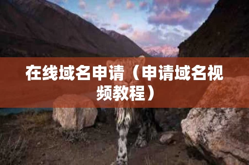 在线域名申请（申请域名视频教程）