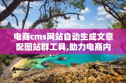 电商cms网站自动生成文章配图站群工具,助力电商内容营销新篇章