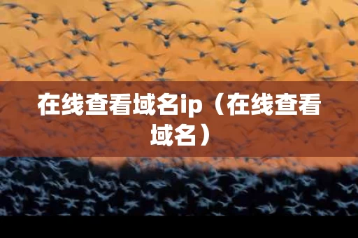 在线查看域名ip（在线查看域名）
