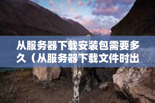 从服务器下载安装包需要多久（从服务器下载文件时出现错误怎么办）