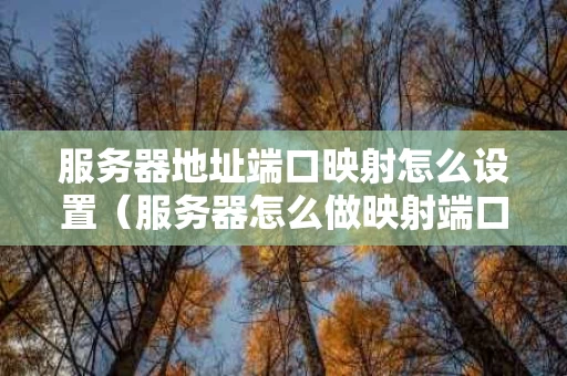 服务器地址端口映射怎么设置（服务器怎么做映射端口设置）