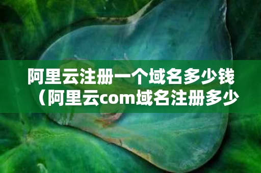 阿里云注册一个域名多少钱（阿里云com域名注册多少钱）