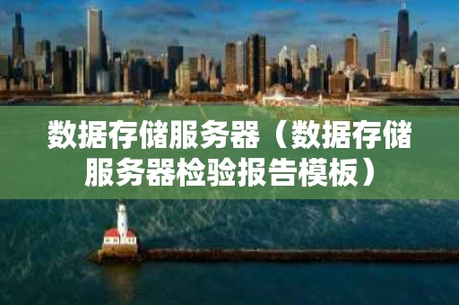 数据存储服务器（数据存储服务器检验报告模板）