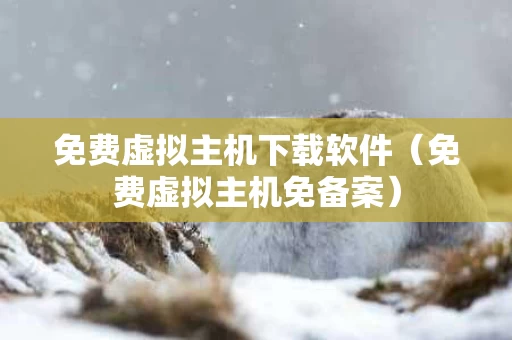 免费虚拟主机下载软件（免费虚拟主机免备案）