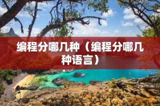 编程分哪几种（编程分哪几种语言）