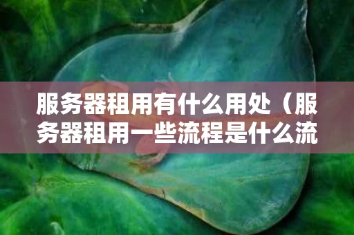 服务器租用有什么用处（服务器租用一些流程是什么流程）