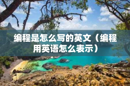 编程是怎么写的英文（编程用英语怎么表示）